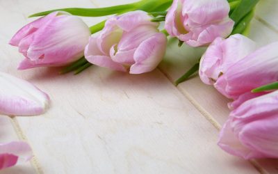 Was ist eine Kaash-Schalen Massage?